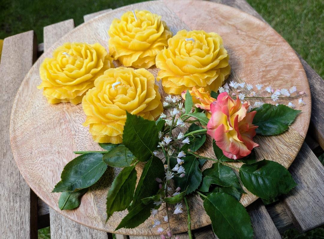 Fünf flach gegossene Bienenwachs-Rosenkerzen auf Holzscheibe mit echten Rosen